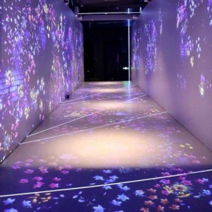 杭州西湖会高端KTV尊享妈咪服务体验