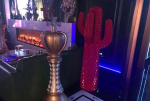 杭州天鹅湖KTV：消费体验与性价比全面解析