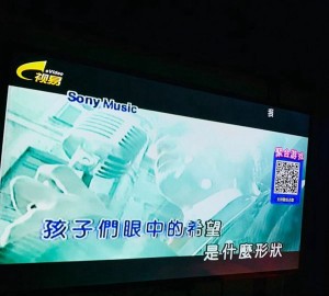 杭州高端餐厅包房娱乐新体验：私人KTV包厢