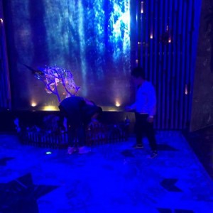 杭州中豪KTV：尽享奢华娱乐新体验