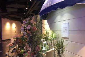 杭州西湖区顶级娱乐体验：精选KTV好去处